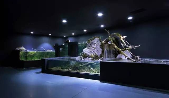 水族館存在的意義（水族館在科研中的作用）