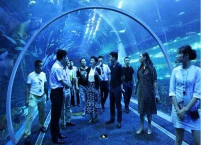 水族館經(jīng)營模式有哪些（水族館品牌塑造成功案例：水族館團(tuán)隊(duì)建設(shè)的關(guān)鍵因素）