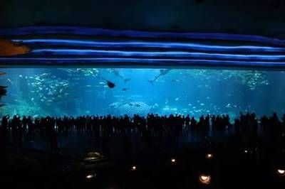 水族館開館時(shí)間（上海海洋水族館特色展覽介紹水族館開館時(shí)間表演時(shí)間表） 水族館百科（水族館加盟） 第5張