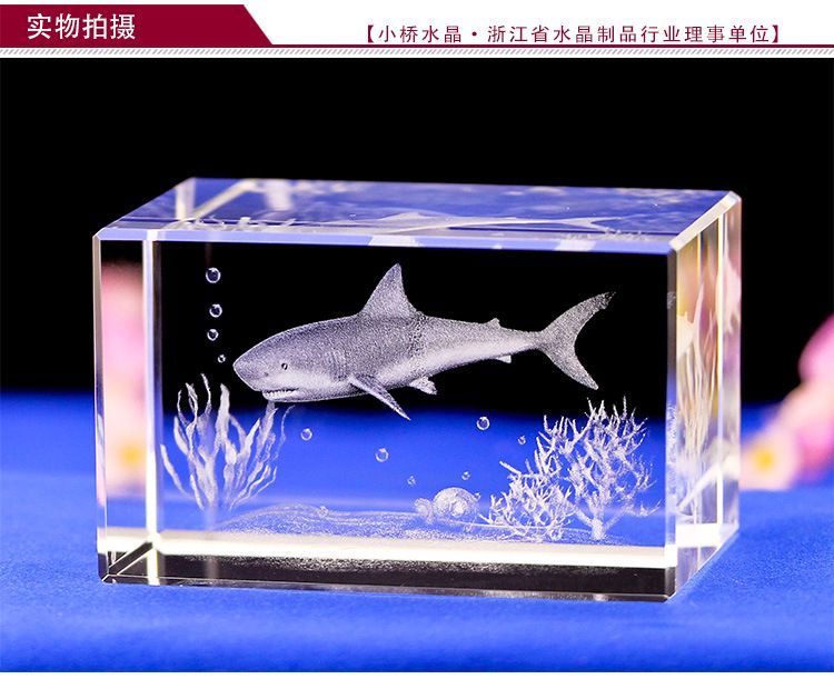 水族館賣什么紀(jì)念品比較好（水族館主題攝影展的購(gòu)買指南） 水族館百科（水族館加盟） 第4張