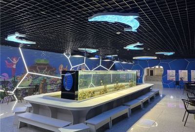 水族館名稱(chēng)大全四個(gè)字（全球知名水族館名稱(chēng)及其特點(diǎn)：水族館名稱(chēng)及其特點(diǎn)）