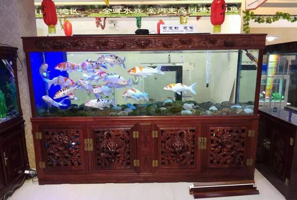 水族館加盟店有哪些品牌名稱(chēng)和地址（水族館加盟優(yōu)勢(shì)分析）