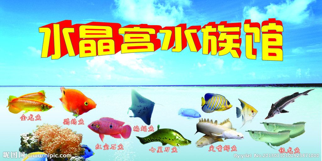 水族館魚(yú)類(lèi)介紹大全（水族館中的魚(yú)類(lèi)繁殖技術(shù)和水族館魚(yú)類(lèi)繁殖技術(shù)介紹）