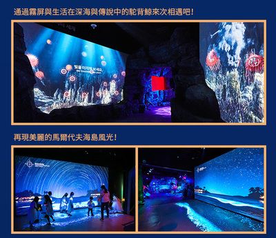 水族館是什么意思？（水族館不僅是展示水生生物的場(chǎng)所，也是一個(gè)重要的教育和科研機(jī)構(gòu)）