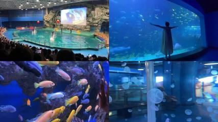 水族館游玩（三亞亞特蘭蒂斯水族館）