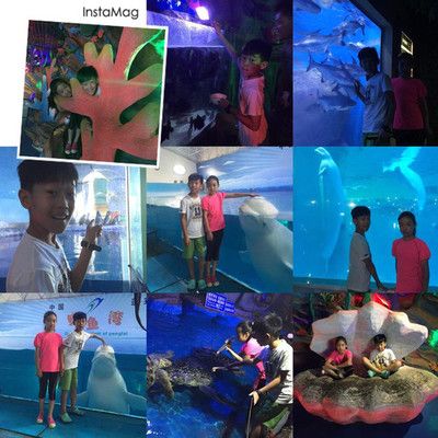 水族館游玩（三亞亞特蘭蒂斯水族館） 水族館百科（水族館加盟） 第4張