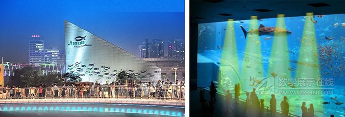 水族館建設(shè)方案（關(guān)于水族館建設(shè)方案的詳情）