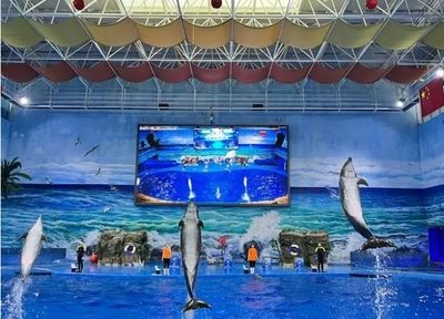 水族館建設(shè)方案（關(guān)于水族館建設(shè)方案的詳情）