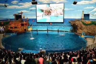 水族館建設(shè)方案（關(guān)于水族館建設(shè)方案的詳情）