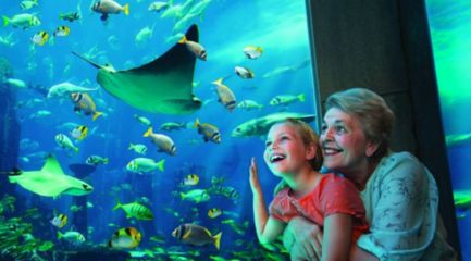 水族館店鋪介紹語句（上海水族館店鋪介紹） 水族館百科（水族館加盟） 第4張