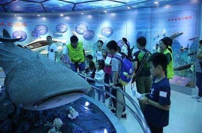 水族館里100種動(dòng)物名稱(chēng)和特點(diǎn)（水族館的動(dòng)物名稱(chēng)及其特點(diǎn)）