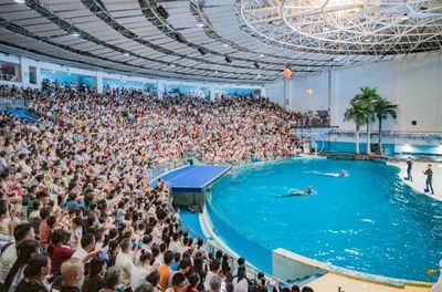 開(kāi)水族館需要辦什么證件嗎要多少錢(qián)（開(kāi)水族館需要辦理什么證件）