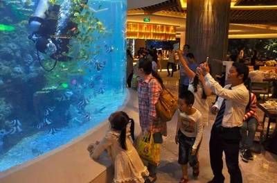 現(xiàn)在水族館生意怎么樣?。ㄉ虾：Ｑ笏屦^） 水族館百科（水族館加盟） 第5張