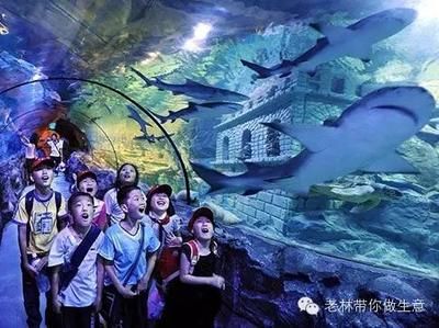 水族館運(yùn)營(yíng)維護(hù)外包（國(guó)內(nèi)外水族館運(yùn)營(yíng)維護(hù)外包案例分析）