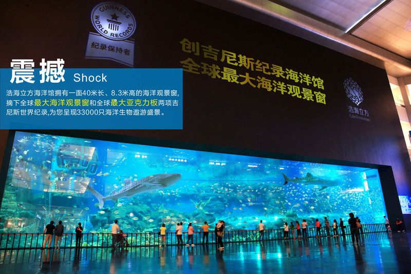 水族館簡介怎么寫（關(guān)于水族館的簡介） 水族館百科（水族館加盟） 第5張