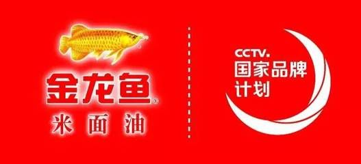 金龍魚國家品牌計劃（金龍魚國家品牌計劃是一項旨在提升品牌知名度和市場影響力的戰(zhàn)略項目） 龍魚百科 第4張