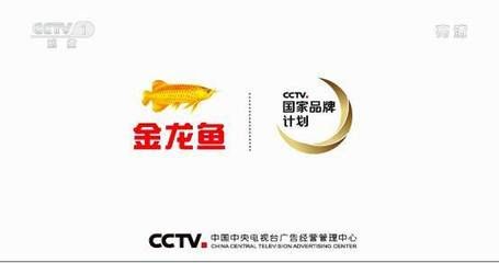 金龍魚國家品牌計劃（金龍魚國家品牌計劃是一項旨在提升品牌知名度和市場影響力的戰(zhàn)略項目） 龍魚百科 第5張