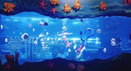 最大水族館（世界上最大的水族館——上海海洋水族館）