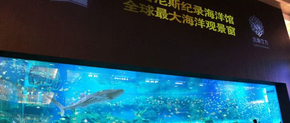 最大水族館（世界上最大的水族館——上海海洋水族館）