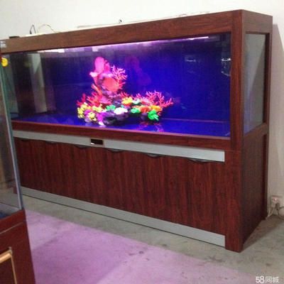 水族館魚缸廠家電話（水族箱定制服務(wù)哪家強(qiáng)石家莊生態(tài)魚缸案例展示） 水族館百科（水族館加盟） 第4張