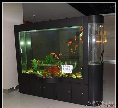 水族館魚缸廠家電話（水族箱定制服務(wù)哪家強(qiáng)石家莊生態(tài)魚缸案例展示）