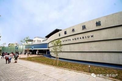 建一個(gè)水族館多少錢人民幣?。ńㄒ粋€(gè)水族館的成本取決于多個(gè)因素） 水族館百科（水族館加盟） 第5張