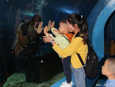 游戲 水族館 表演（關(guān)于游戲水族館表演的詳情） 水族館百科（水族館加盟） 第4張