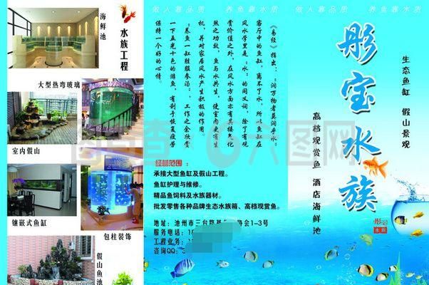 水族館什么牌子好（水族館品牌創(chuàng)新技術(shù)展示水族館品牌創(chuàng)新技術(shù)展示） 水族館百科（水族館加盟） 第5張