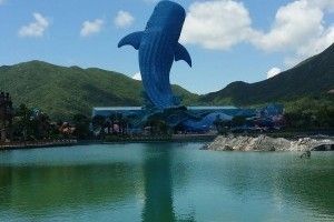 長隆水族館門票（關(guān)于長隆水族館門票詳情的說明）