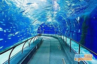 品牌水族館加盟排行榜