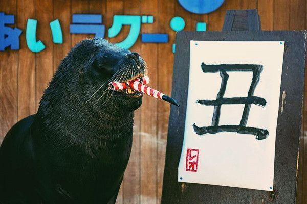 水族館書法主題有哪些（關(guān)于“水族館書法主題”的具體詳情）