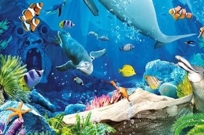 水族館游玩作文怎么寫（如何寫好水族館游玩作文）