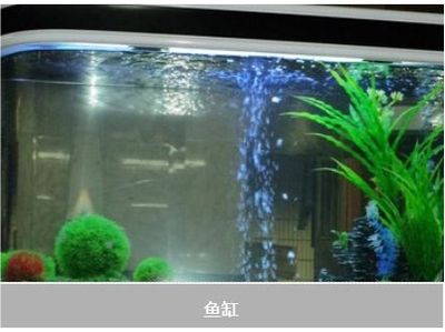 水族館魚缸過濾系統(tǒng)圖（水族館魚缸過濾系統(tǒng)圖是用于展示和維護(hù)水族館內(nèi)魚類生活所需的水質(zhì)循環(huán)過程） 水族館百科（水族館加盟） 第5張