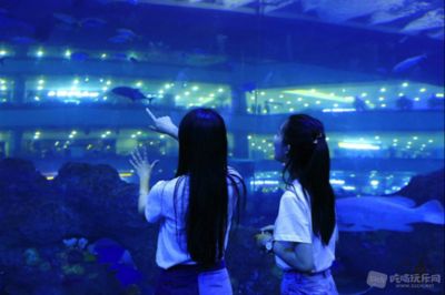 水族館行業(yè)市場競爭現狀（中國水族館行業(yè)的市場競爭日益激烈，市場競爭日益激烈） 水族館百科（水族館加盟） 第5張