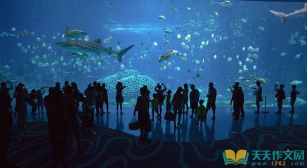 水族館英文怎么說（aquarium水族館）