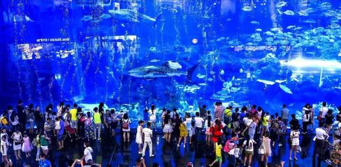 水族館行業(yè)表述（中國水族館行業(yè)發(fā)展前景如何？） 水族館百科（水族館加盟） 第4張