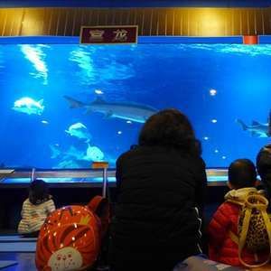 水族館品牌（水族館品牌建設(shè)）