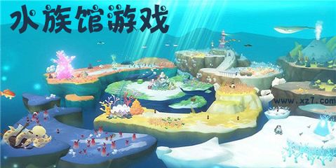 夢幻水族館游戲（《夢幻水族館》最新關(guān)卡攻略）