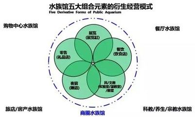 水族館盈利模式有哪些類型（上海水族館的盈利模式）