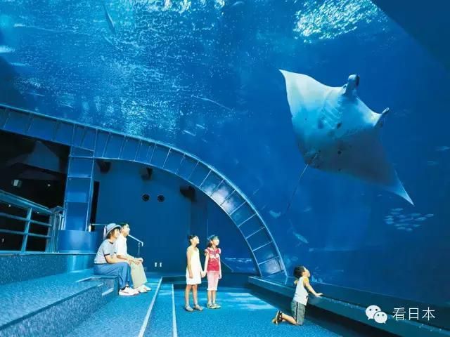 最好的水族館在哪里（世界上最好的水族館） 水族館百科（水族館加盟） 第5張