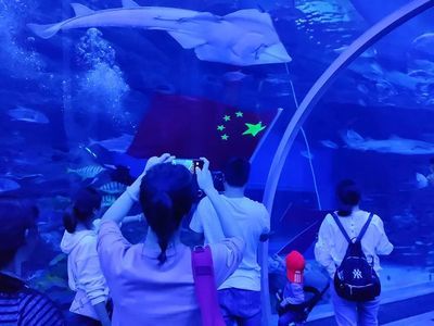 水族館館長收入（水族館館長的收入受多種因素影響水族館館長的收入受多種影響） 水族館百科（水族館加盟） 第1張