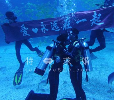 水族館開業(yè)祝福語（水族館開業(yè)活動(dòng)策劃：如何撰寫開業(yè)祝福語,水族館營銷策略案例）