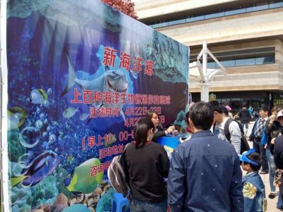 水族館游玩評價語（關于水族館游玩評價語的詳細信息）