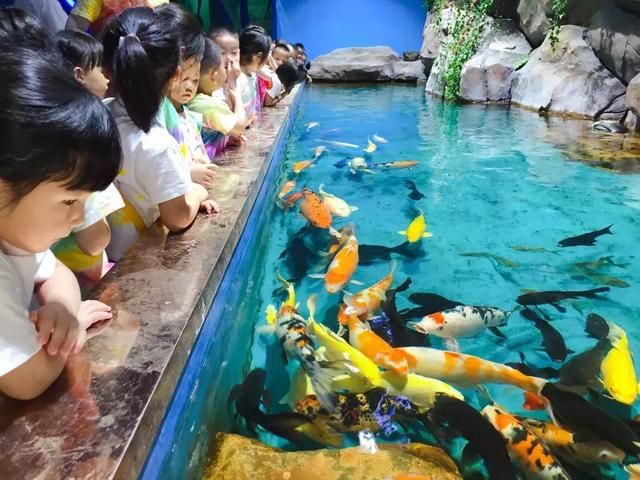 水族館游玩評(píng)價(jià)語（關(guān)于水族館游玩評(píng)價(jià)語的詳細(xì)信息） 水族館百科（水族館加盟） 第4張