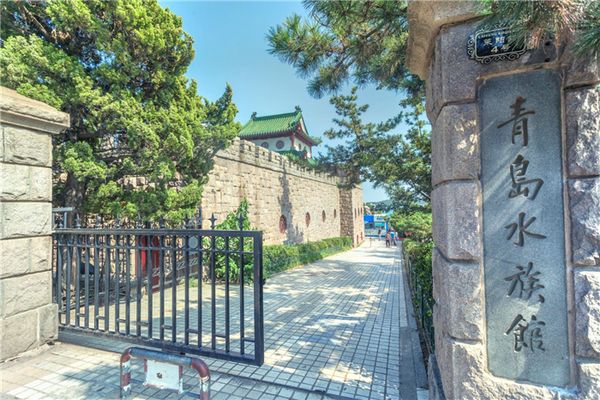 水族館價(jià)格（上海海洋水族館門票價(jià)格） 水族館百科（水族館加盟） 第2張