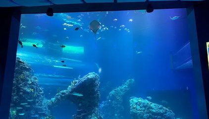 水族館布局 水族館百科（水族館加盟） 第3張