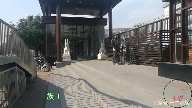 水族館開業(yè)做什么活動賺錢呢（小金魚養(yǎng)殖個性化服務案例水族館特色海鮮產品介紹）