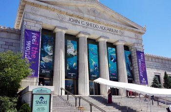 水族館門票圖片（上海水族館門票價格） 水族館百科（水族館加盟） 第2張