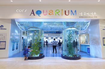 水族館好玩嗎？（三亞亞特蘭蒂斯水族館拍照攻略水族館親子游的互動(dòng)體驗(yàn)） 水族館百科（水族館加盟） 第2張