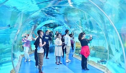 水族館搭建（關(guān)于水族館搭建的詳情） 水族館百科（水族館加盟） 第4張